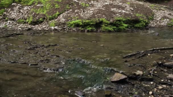 Kaskády vodopády v lese — Stock video