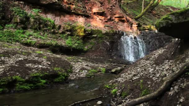 Cascata cai na floresta — Vídeo de Stock