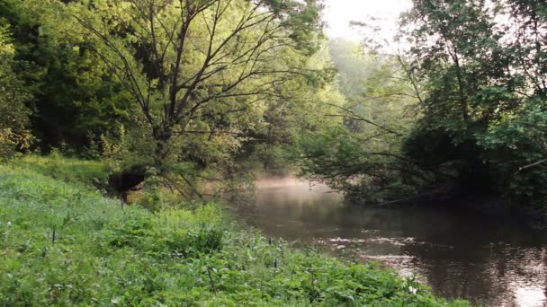 brouillard sous la rivière 