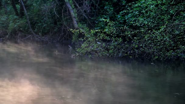 Niebla bajo el río — Vídeo de stock