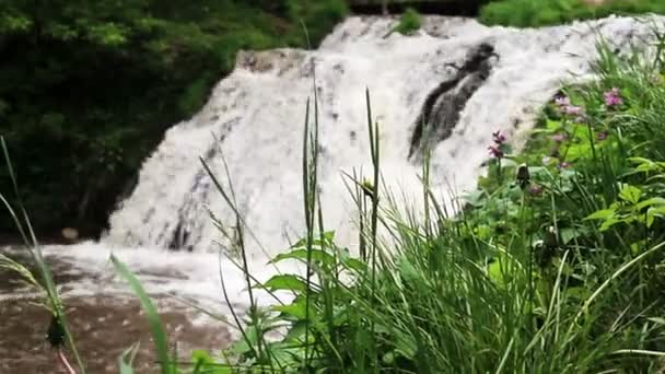 Великий водоспад у лісі — стокове відео