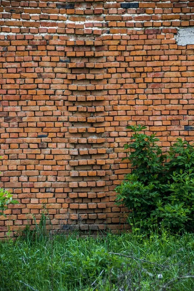 Wall of brick barn — Stock Photo, Image