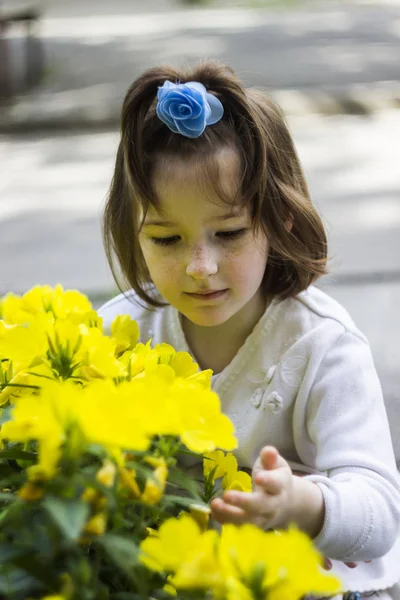Little girl and flower — Stock Photo, Image