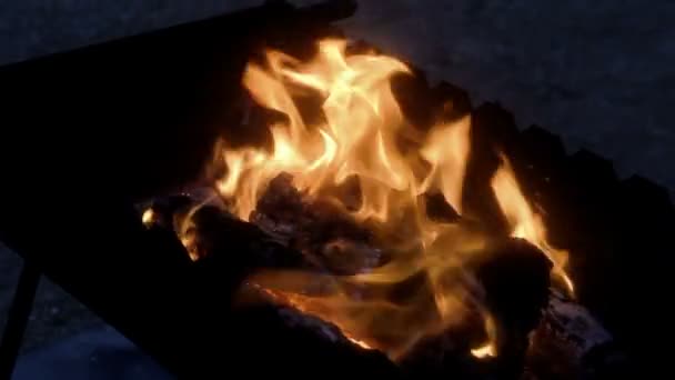 Night barbeque fire — Stock Video