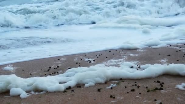 Närbild en strand vid havet — Stockvideo