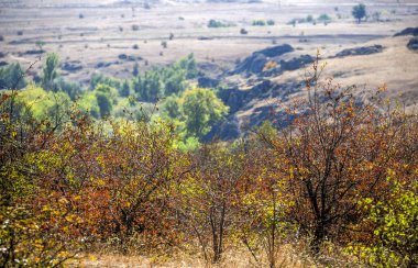 ağaçlar ve çalılar Kanyon