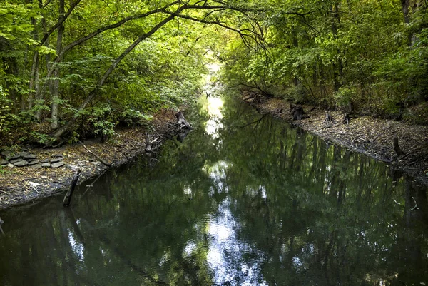 Ποταμός στο δάσος — Φωτογραφία Αρχείου