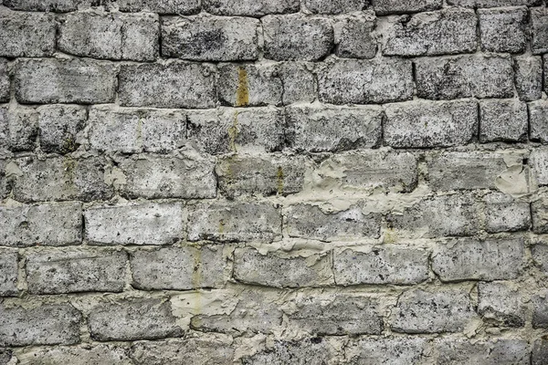 混凝土砌块墙 — 图库照片