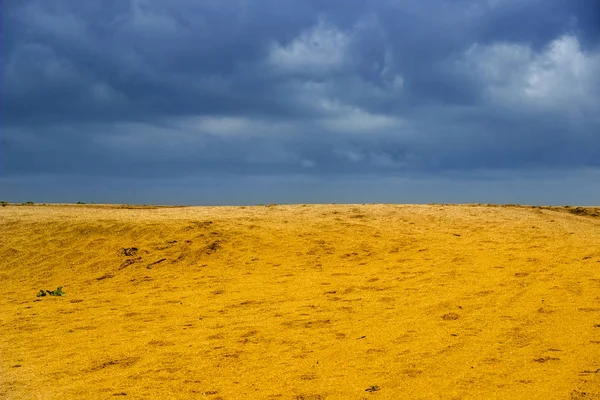 Paisagem como uma bandeira ucraniana — Fotografia de Stock