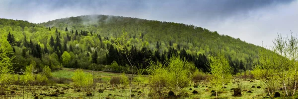 Panorama z Karpat — Stock fotografie