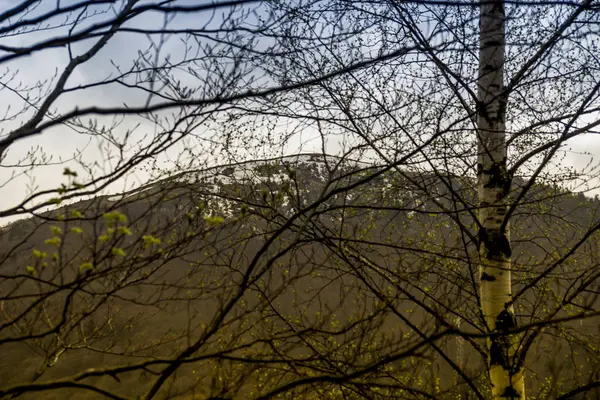 Der Gipfel des Paraschka in der Ferne — Stockfoto