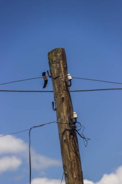 ahşap elektrik direği
