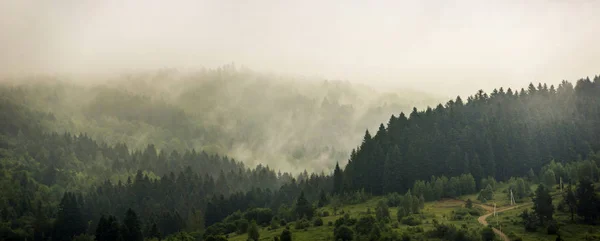 Sabah bir Karpatya manzarası — Stok fotoğraf