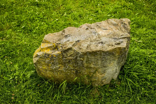 Großer Stein im Gras — Stockfoto