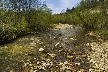 river at the Carpathian mountains