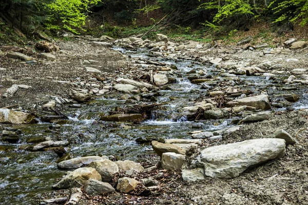 Лісова річка — стокове фото