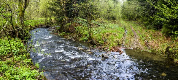 Une rivière forestière — Photo