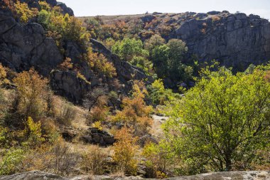bir kanyon manzarası