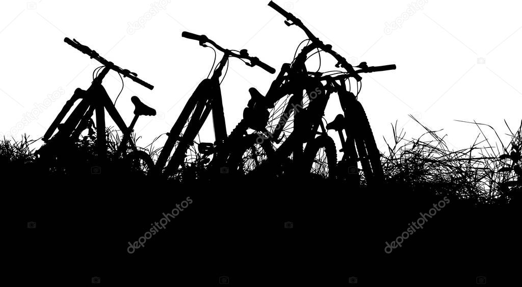 Four bicycles in grass