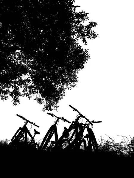 Vier Fahrradständer unter dem Baum — Stockvektor