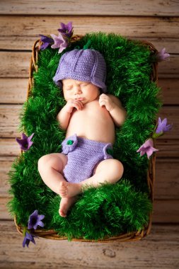 Hasır sepet içinde yeni doğmuş bebek uyku