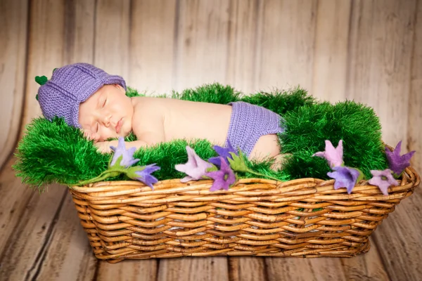 Sover nyfödda barn i en korg — Stockfoto