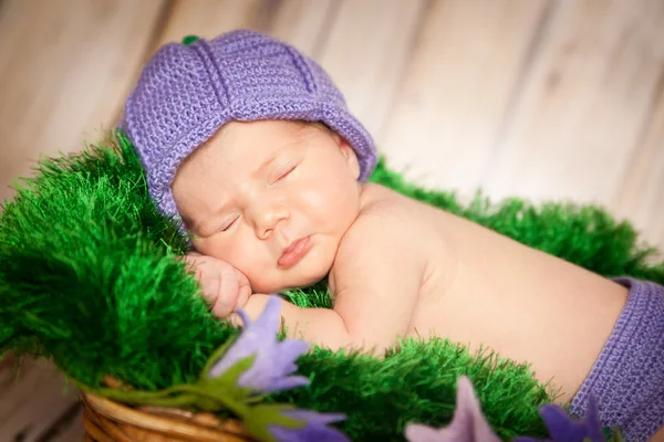 고리 버들 세공 바구니에 잠자는 갓난 아기 — 스톡 사진