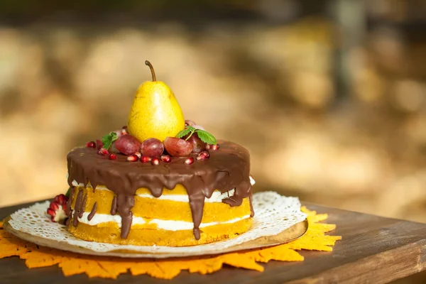 Torta csokoládé és gyümölcsök — Stock Fotó