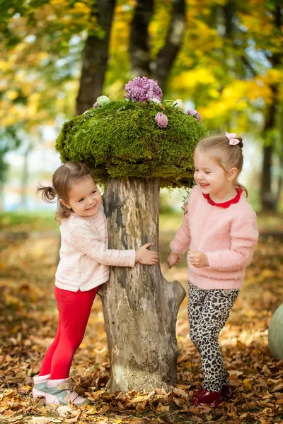 Chicas en el parque de otoño —  Fotos de Stock