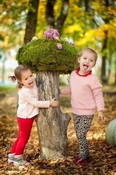 Kızlar sonbahar parkta — Stok fotoğraf