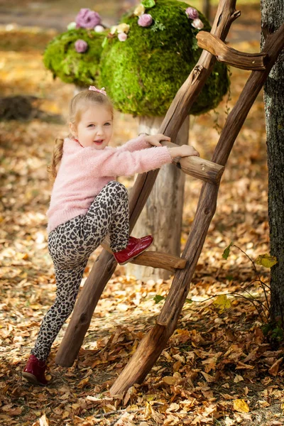 Lachende meisje in de herfst park — Stockfoto