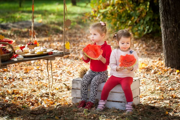 Filles mignonnes dans le parc d'automne — Photo