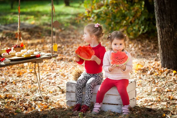 Meninas bonitos no parque de outono — Fotografia de Stock
