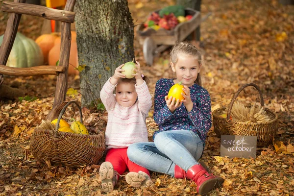 Sonbahar Park iki kız — Stok fotoğraf