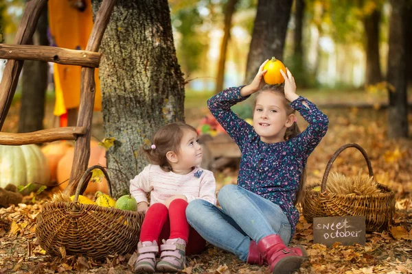 两个女孩在秋天的公园 — 图库照片