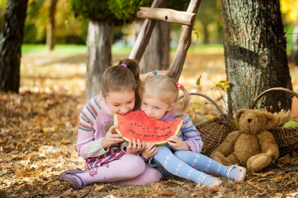 Lachende meisjes in de herfst park — Stockfoto