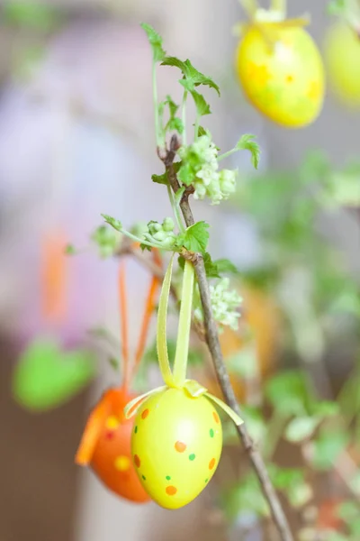 Молодой смородины листья на ветке с пасхальными яйцами — стоковое фото