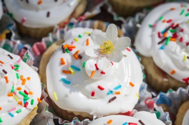 Bir bahar ormandaki Paskalya kek