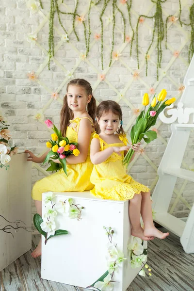 Lindas niñas en estudio de primavera —  Fotos de Stock