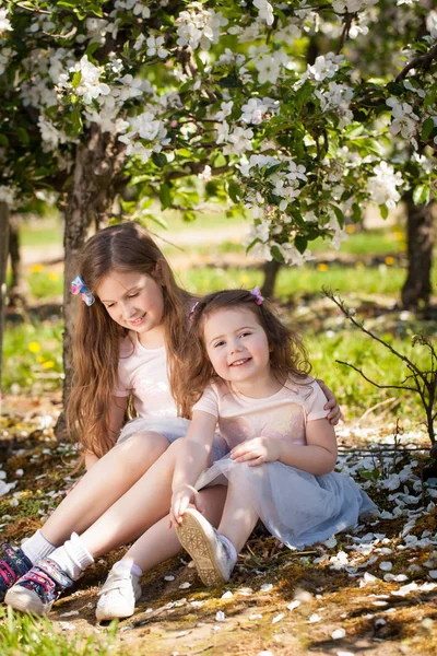 Lindas irmãs em um jardim de primavera — Fotografia de Stock