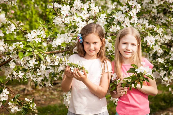 Όμορφα νεαρά κορίτσια στον κήπο την άνοιξη — Φωτογραφία Αρχείου