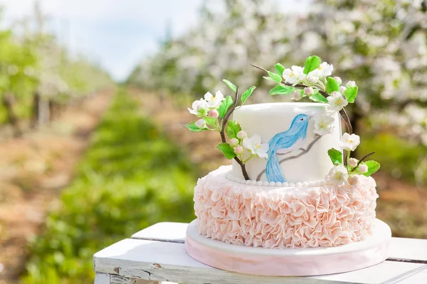 Elegante boda o pastel de cumpleaños decorado con rama de flor de manzana — Foto de Stock