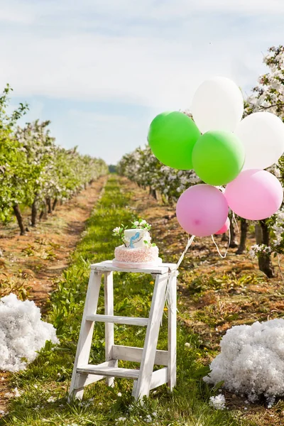 Apple blossom jarní narozeninové nebo svatební výzdoba — Stock fotografie