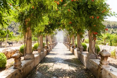 Alfabia gardens in Mallorca clipart