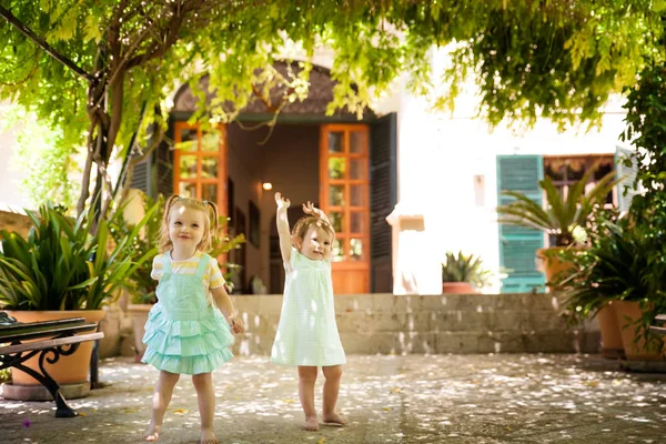 Милые маленькие девочки в саду Альфабии — стоковое фото