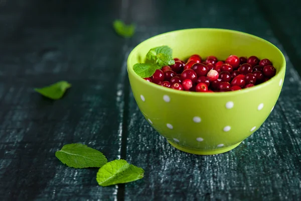 Juicy ingredients: fresh cranberries in a bowl, mint — Stock Photo, Image