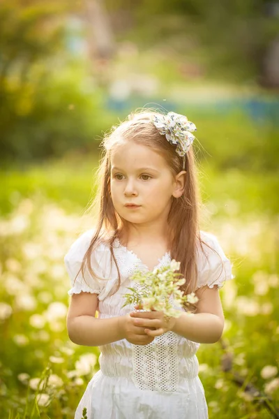 Kleines Mädchen in einem Feld mit weißen Blumen — Stockfoto