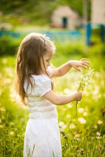 Kleines Mädchen in einem Feld mit weißen Blumen — Stockfoto