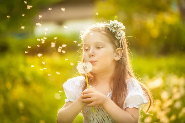 Kleines Mädchen bläst Löwenzahn — Stockfoto