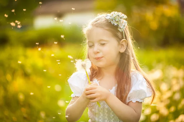 Kleines Mädchen bläst Löwenzahn — Stockfoto